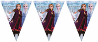 Parti Yıldızı - Frozen 2 Bayrak Afiş 