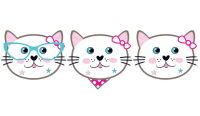 PD - Miss Cat Maske 6 Adet