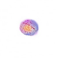 Renk Değiştiren Işıklı Beyin Dekor Malzemesi - Thumbnail