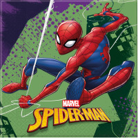 Parti Yıldızı - Spiderman Team Up Peçete
